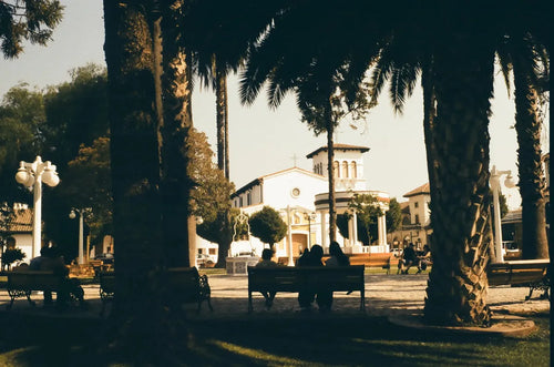 Fujifilm 200 Color film 35 mm 36 exp C-41