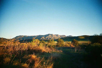 Kodak Ultramax 400 Film 35mm 36 Exp C-41