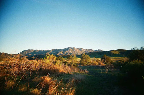 Kodak Ultramax 400 Film 35mm 36 Exp C-41