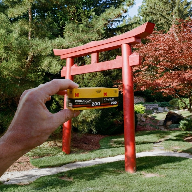 📸 KODACOLOR 100 RECUERDOS AL ESTILO DEL ANÁLOGO